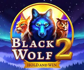 Wonderluck Gallery 1-2